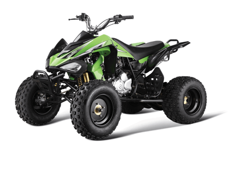 250CC ATV (GBTA74-250)