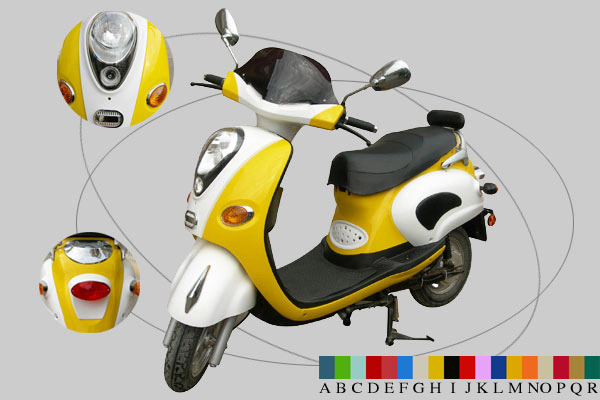500-1000W Electric Scooter (INTE-010)