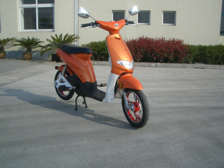 Electri Bikes (OIC-B07)