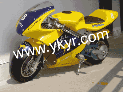 Pocket Bike (YR-PB001-G,49CC)