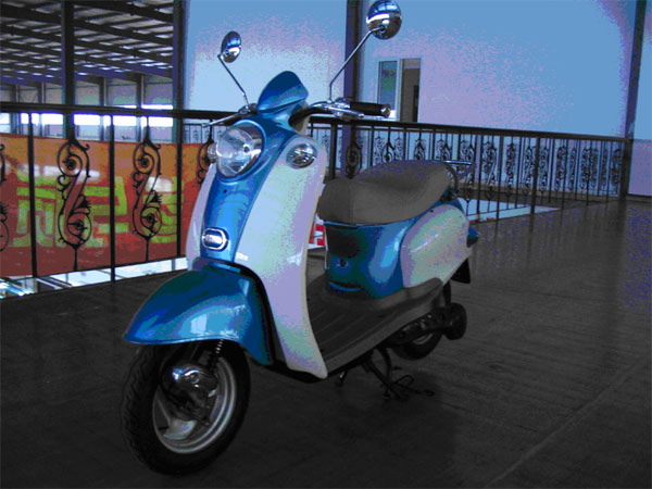 Electric Scooter (1200W, B-13)