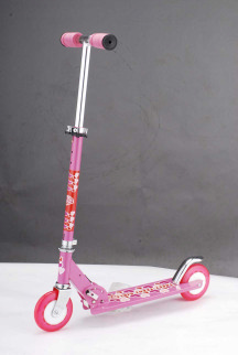 Kick Scooter (JL-2002-1)