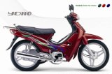 Motorcycle (YD110)