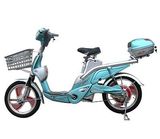 E-Bike (YRJY29Z)