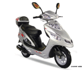 Gas Scooter (QLM125T-9)