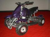 Mini Quad (FLT-49cc-Rabbit)