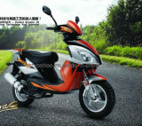 Electric Motorcycle (YHEM-2)