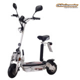 Folding Electric Scooter with Brush Motor