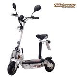 Folding Electric Scooter with Brush Motor