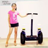 Wind Rover 1800W 2 Person Electric Scooter 500cc Scooter for Sale