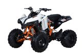 Racing Quad Smax250