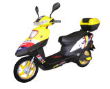 Electric Scooter (TDR48K118)