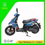 Hot Sale 125cc Scooter (TYPHOON-125)