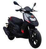 Typoone 125 Cc Gas Scooter