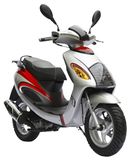 Scooter  (ZW50QT-26)