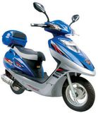 Scooter (ACE50QT-8)