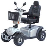 Double Seat Mobility Scooter, 1300W Four Wheels Electric Scooter