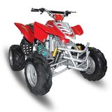 200cc ATV (ZC-ATV-12A) Popular Sell