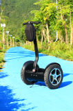 China Best Stand up Electric Scooter