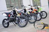 CE 150CC/200CC/250CC Dirt Pit Bike (QW-DB-08D)