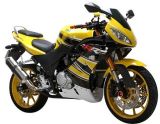 250CC EEC Racing Motorcycle (RXM250F-3C)