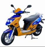 EEC Gas Scooters (RY50QY-8D)