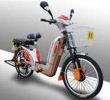 E-Bike (TDL24Z)