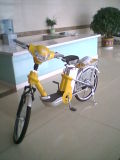 Puruisheng Electric Bicycle (TDL02Z)