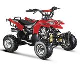 50CC - 110CC ATV (ATV504-XP)