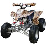 200cc Water Cooled ATV (SBP-ATV200C)