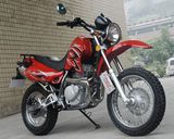 Dirt Bike (WJ-250GY)