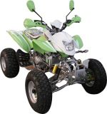 New 250cc ATV/Quad for 2 Person with EEC/Coc (HY250S-11B)