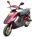 Electric Scooter (50CC)
