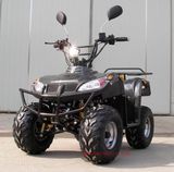 50CC, 70CC, 110CC ATV (GS-BEST-ATV20F)