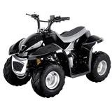 50cc, 70cc, 110cc ATV (LB-50ATV6)