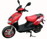 50c, 125cc Scooter With EEC (QYGM-B08)