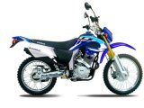 Dirt Bike (TK250GY)