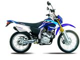 Dirt Bike (TK250GY)