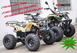 125CC 150CC/200CC/250CC ATV Quad CE