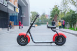Harley Electric Scooter with 800W