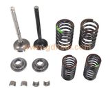 Eco100 Intake Exhaust Valve Set Motorcycle Parts