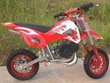 Dirt Bike (FSDB01)