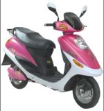 Electric Scooter (BDE-8004)