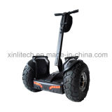 1001-2000W Power and CE Certification Electric Scooters 2000 Watts