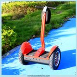 Electric E-Scooters Scooter with CE (ESIII)