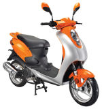 Motor Scooter (ZW50QT-19)