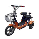Two Seat Electric Mobility Scooter with Basket (TC-013)