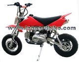 Dirt Bike (LBDB110-01)