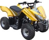 ATV-FST-50CC-G