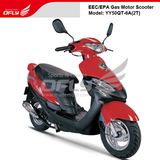 50cc Scooter EEC